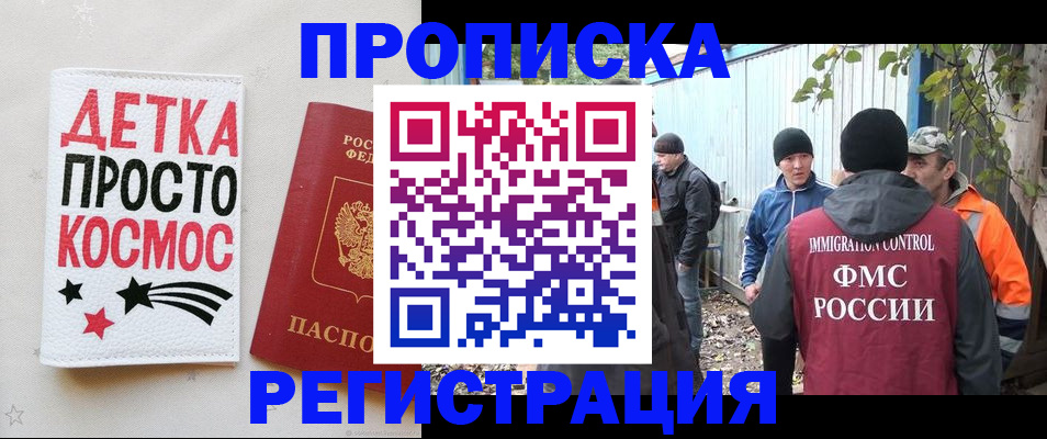 прописка поиск в Котово